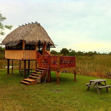 Everglades Chickee Cottage & Bungalow - Ochopee Eksteriør billede