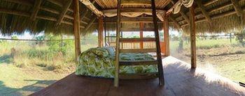 Everglades Chickee Cottage & Bungalow - Ochopee Eksteriør billede