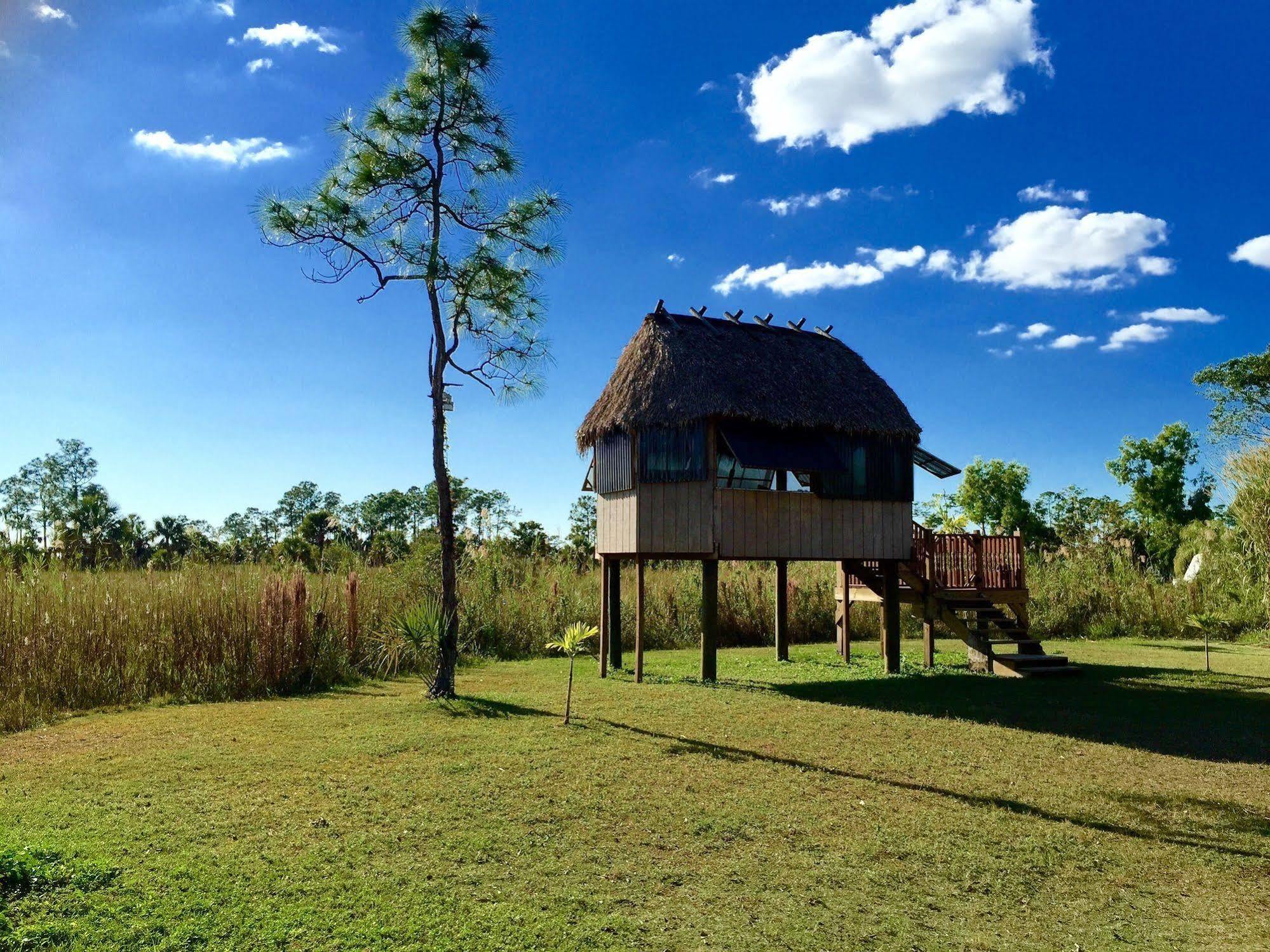 Everglades Chickee Cottage & Bungalow - Ochopee Eksteriør billede