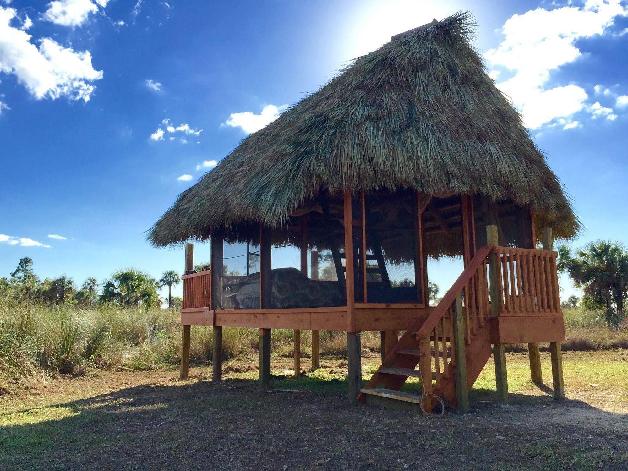 Everglades Chickee Cottage & Bungalow - Ochopee Eksteriør billede