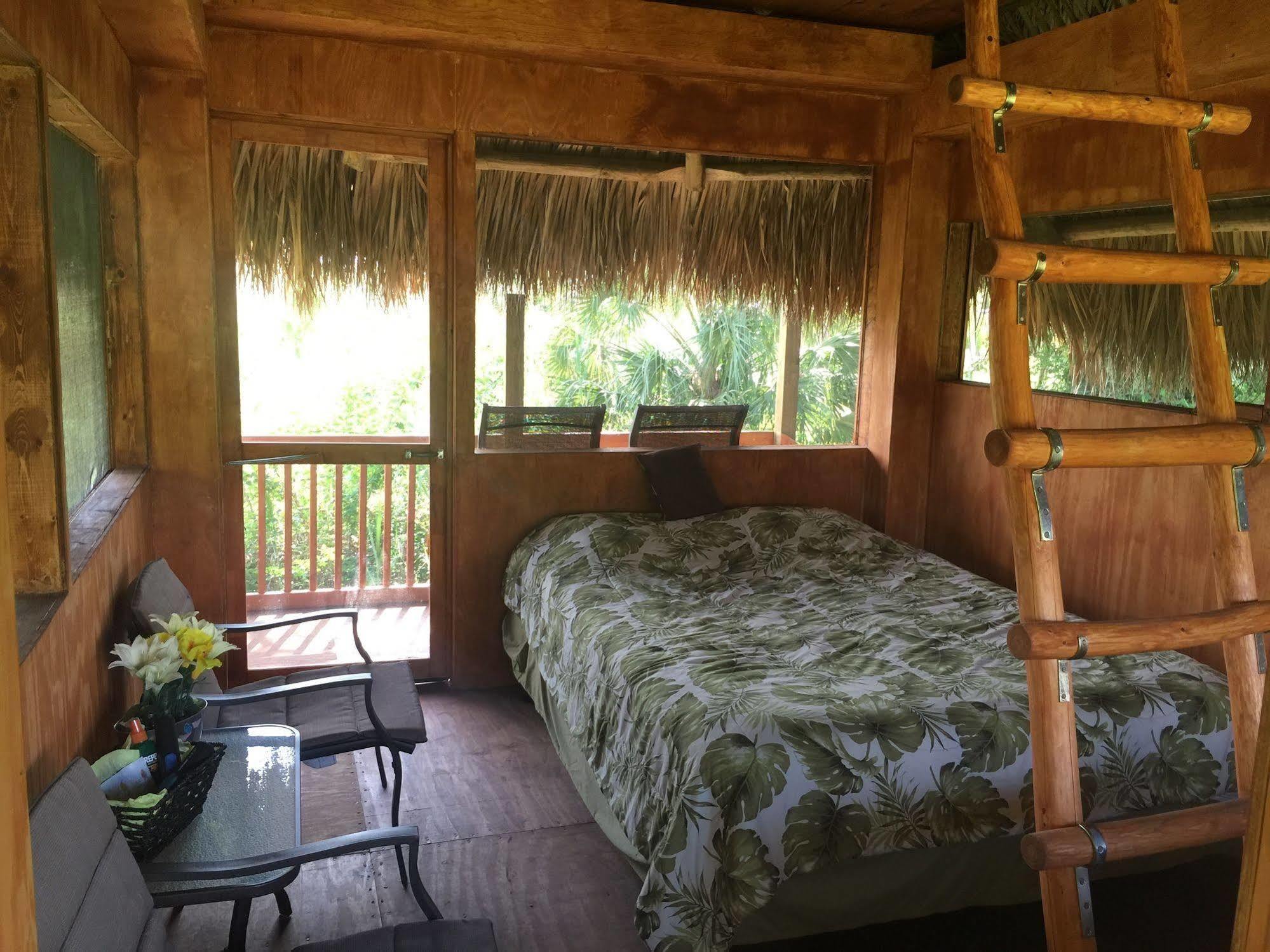 Everglades Chickee Cottage & Bungalow - Ochopee Eksteriør billede
